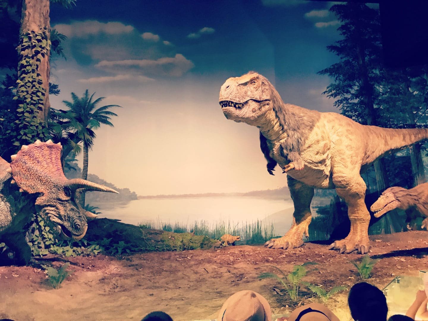 🦖 이바라키 자연사 박물관(뮤지엄파크 이바라키켄 시젠하쿠부츠칸) 이미지 6